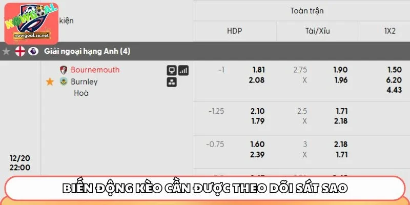 Biến động kèo cần được theo dõi sát sao