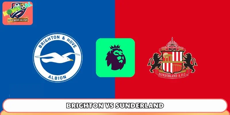 Brighton vs Sunderland