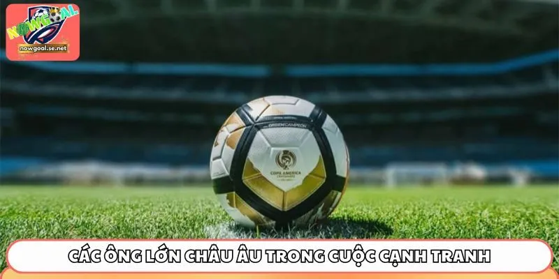 cac ong lon chau au trong cuoc canh tranh chuyen nhuong Các ông lớn Châu Âu trong cuộc cạnh tranh chuyển nhượng