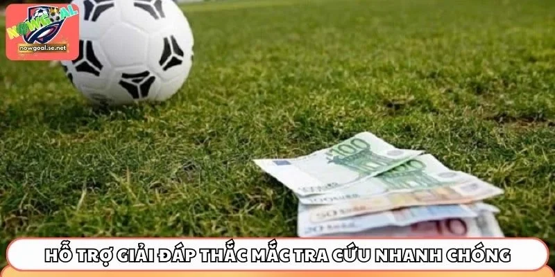 Hỗ trợ giải đáp thắc mắc tra cứu nhanh chóng