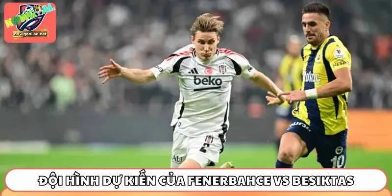 soi keo fenerbahce vs besiktas doi hinh du kien Tương quan lực lượng và đội hình dự kiến của Fenerbahce vs Besiktas
