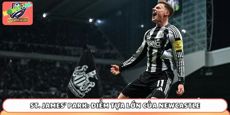 St. James' Park: Điểm tựa lớn của Newcastle