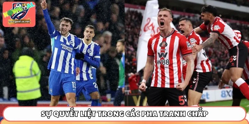 Sự quyết liệt trong các pha tranh chấp giữa Brighton vs Sunderland